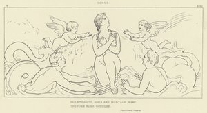 Venus